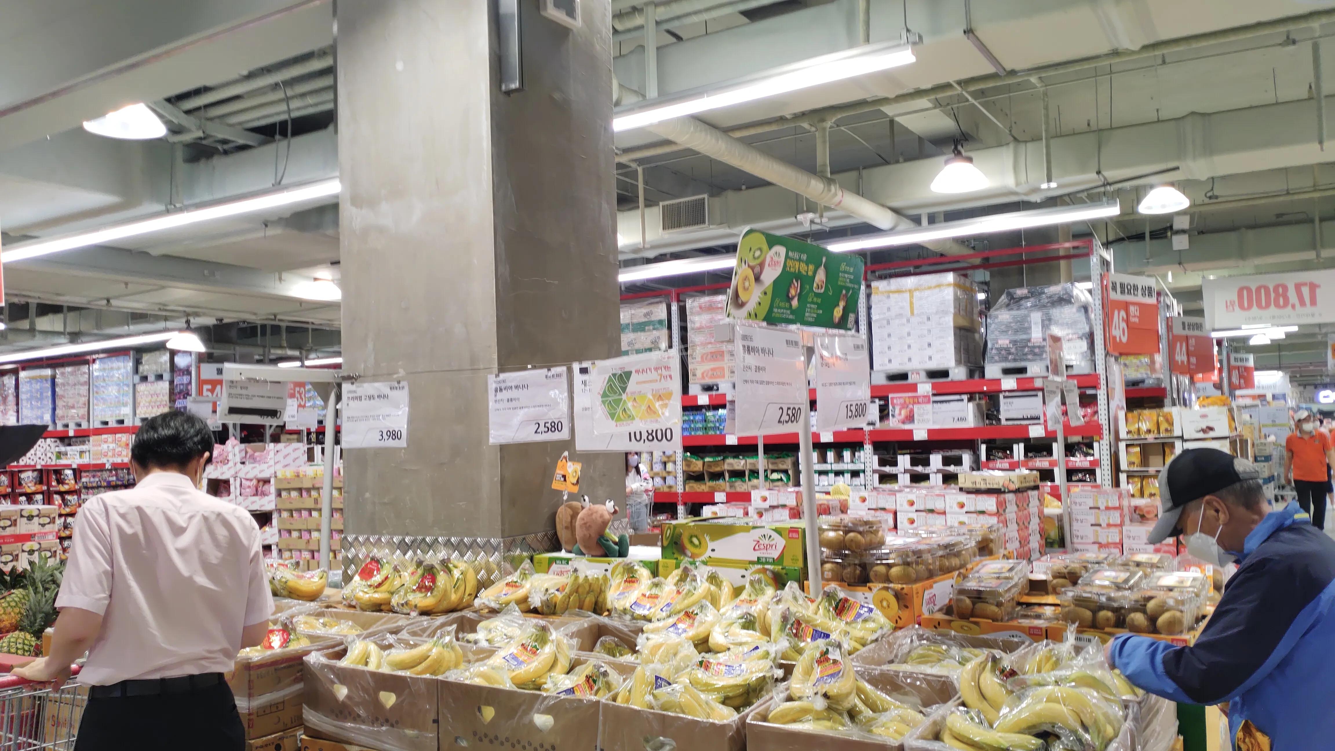 首尔layered咖啡,首尔很多萨摩耶的地方