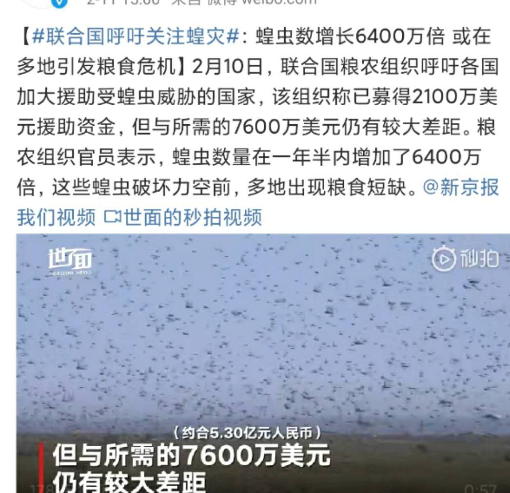 新冠肺炎、澳洲大火、东非蝗灾一系列灾难:2020年到底怎么了