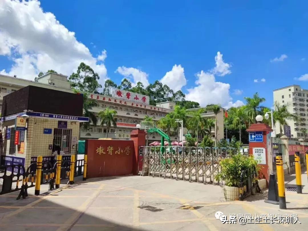 龙华有哪些街道,龙华村的由来