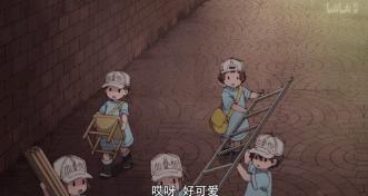 9.2分，半年后这么萌的片终于回来了