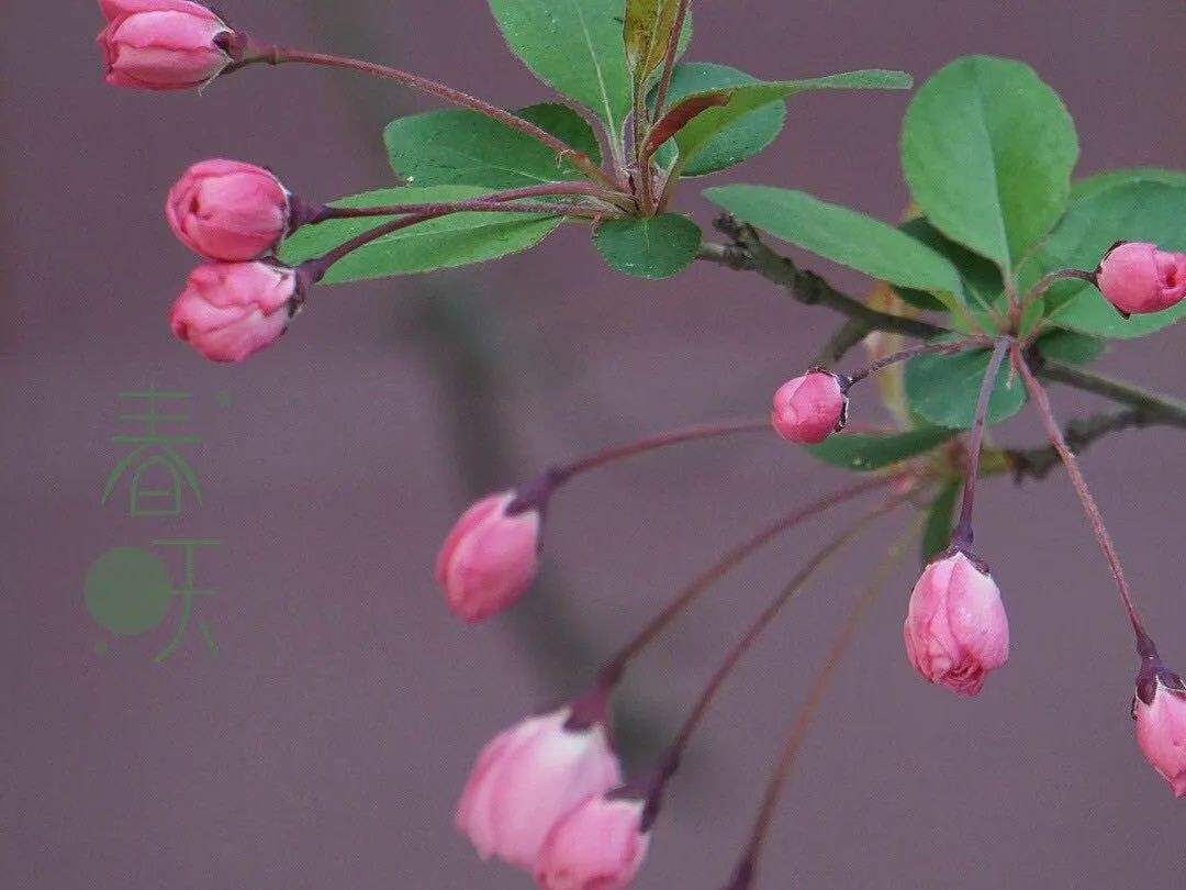 怕麻烦是不是最大的障碍,新概念英语单词速记
