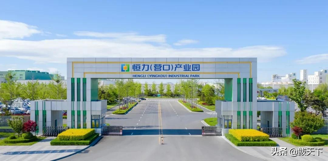 恒力集团营口康辉石化有限公司,营口康辉石化有限公司招聘信息