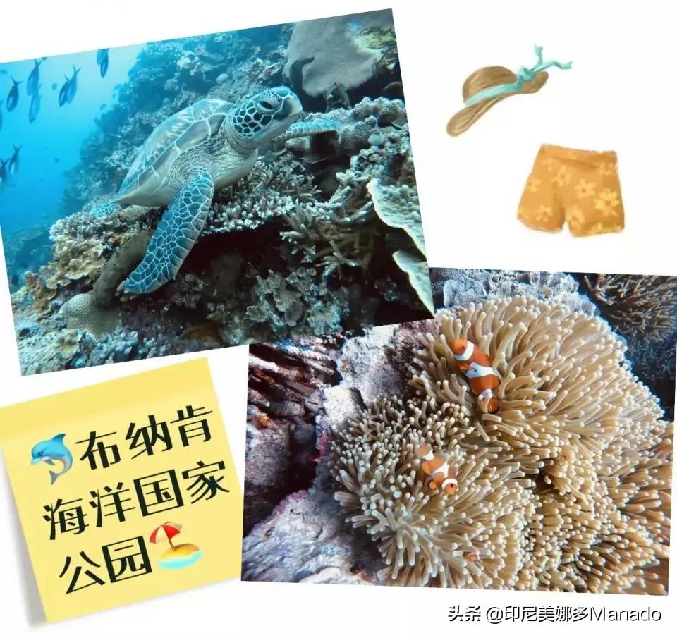 做攻略太辛苦？不如先看看美女博主的美娜多游记