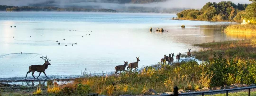 世界上哪些国家禁止离婚,世界上禁止离婚的国家高清视频