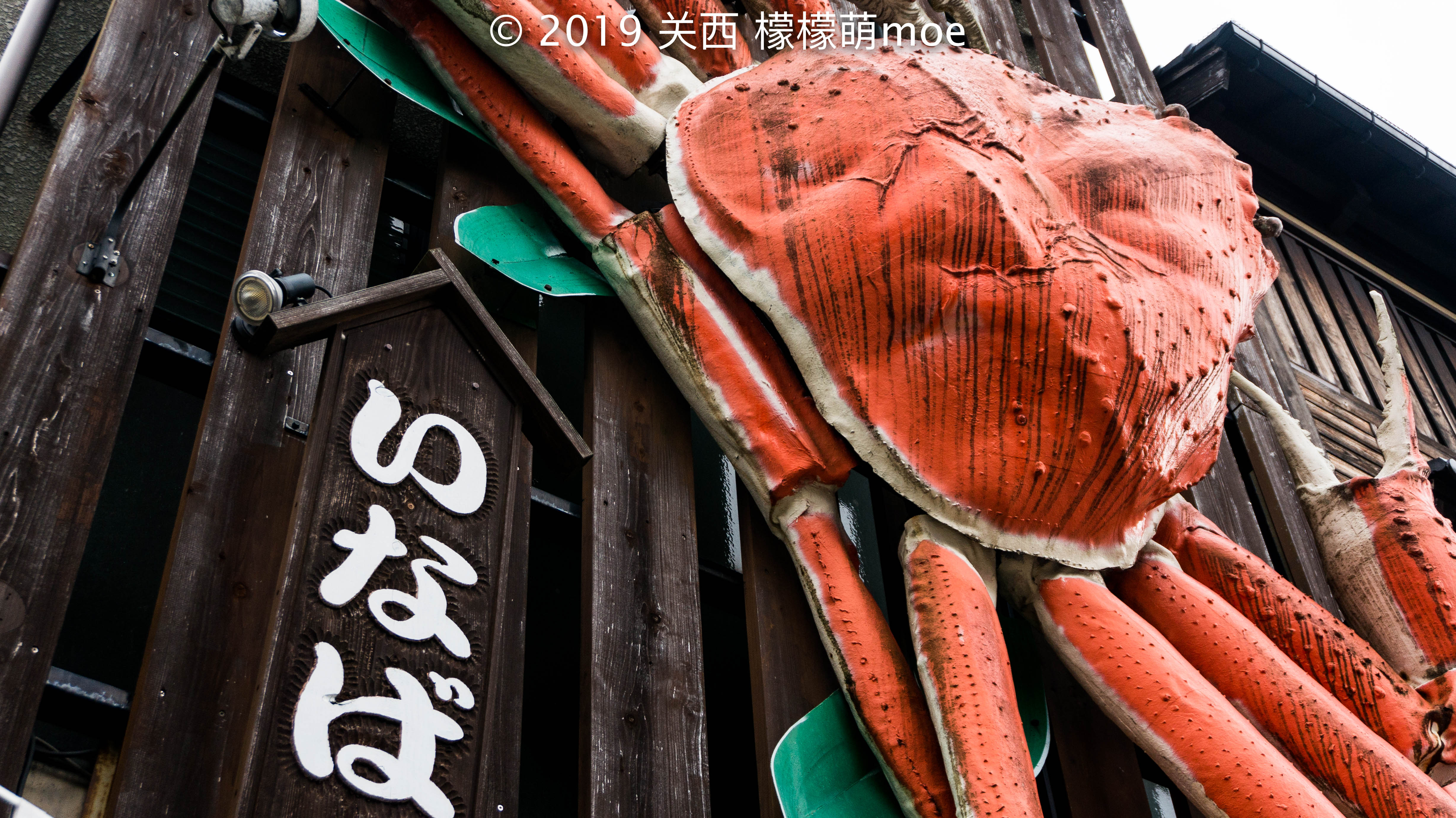 日本买花岗岩,日本花岗岩防病毒吗