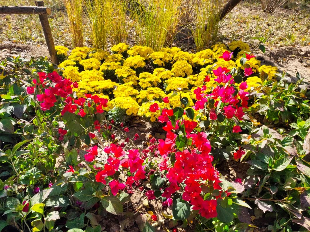 天坛公园周边,天坛旁边的公园