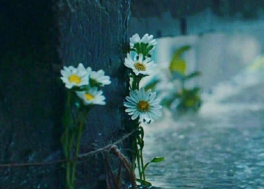 少年的你如此美丽小说,少年的你如此美丽作文600字