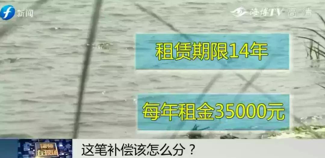 闹心|眼看快收成了，却遇上了麻烦事！这笔清退补偿究竟该怎么分？