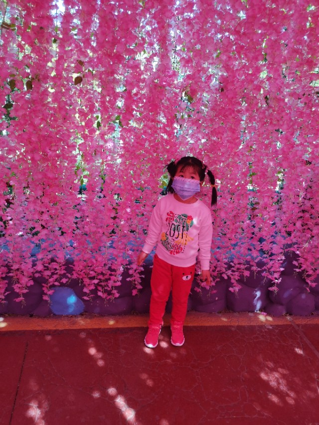 去天津方特玩一天大概多少钱,去上海方特要花多少钱