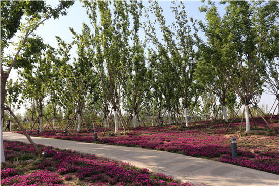 欣闻武汉在院新冠肺炎患者清零华夏儿女欣喜若狂