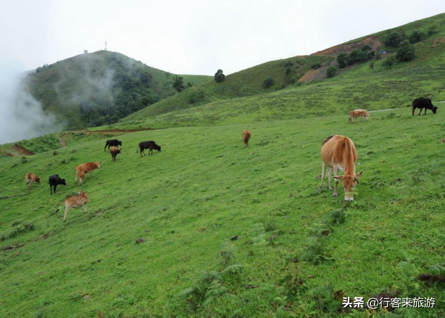 芒市黑河老坡沿途自然风景,云南旅游推荐芒市攻略