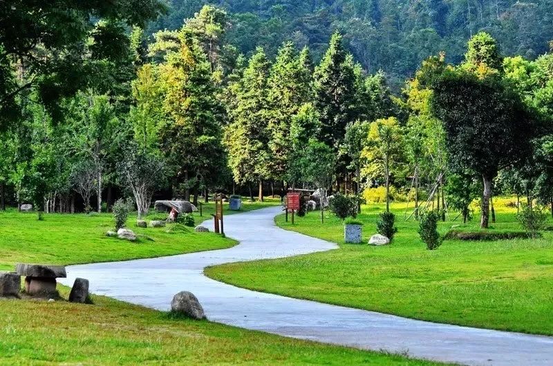 南国仙境姑婆山,姑婆山从南国仙山到山顶要多久