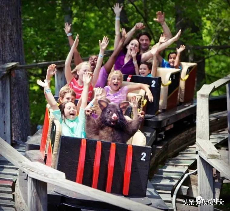 带你看新西兰风景,去看一次新西兰风景