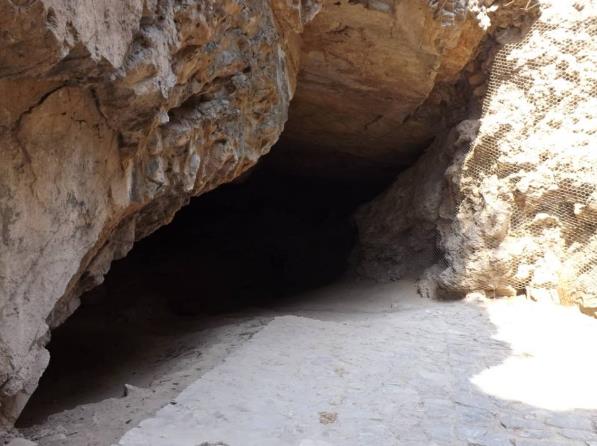 人类原始祖先的生活方式,远古时代我们的祖先怎么生活