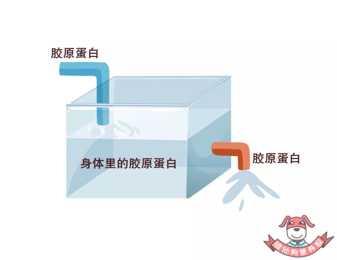 不做医美不打针，如何拥有紧致光滑的肌肤？原来这些食物就可以