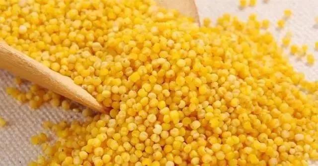 我叫汾阳，这是我2020年最新简历，请多关照