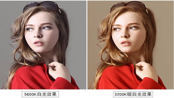 专业网红补光灯推荐直播,网红主播专用led直播支架补光灯