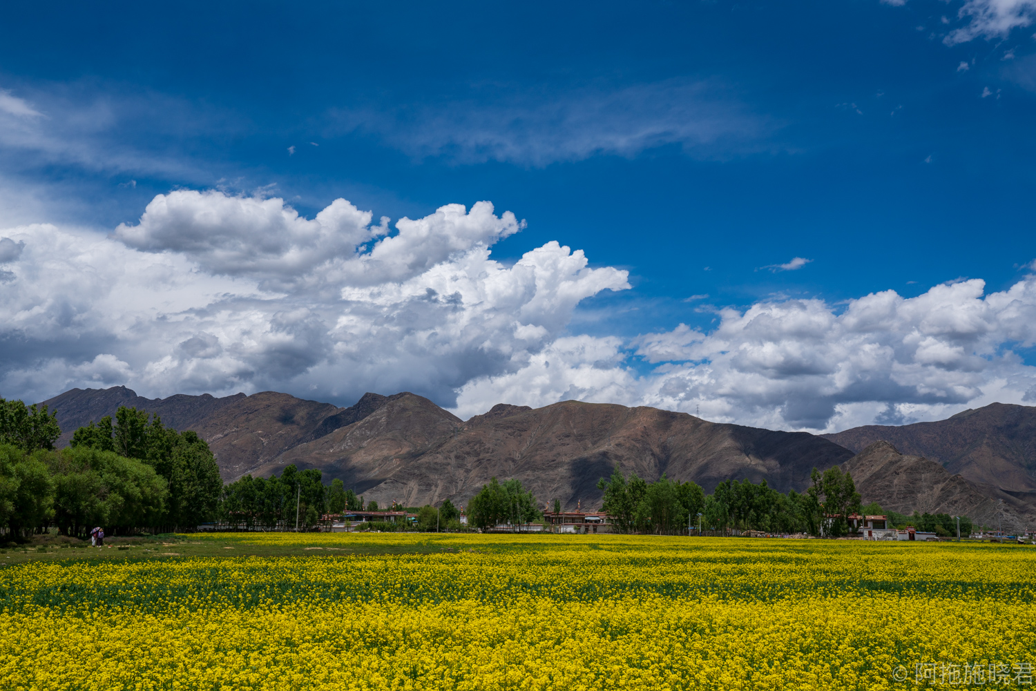 拉萨小众寺庙视频,拉萨最美的寺庙