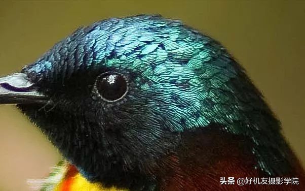 照片灰蒙蒙的怎么拍,照片灰蒙蒙的怎么变清新