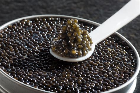 如何形容鱼子酱的昂贵,昂贵的鱼子酱一盒多少钱