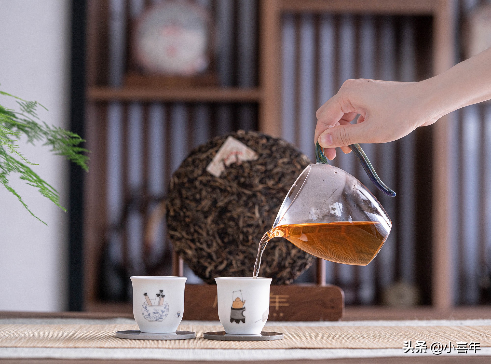 十大山头普洱茶及其特点全面解析,真正值得收藏的山头普洱茶是哪种