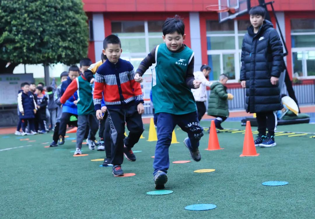 重庆五朵金花小学分别在哪些区,重庆小学5朵金花