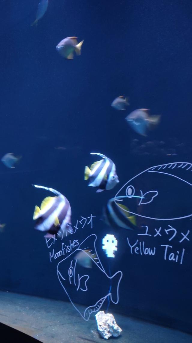 景点打卡日本名古屋乐高公园,日本名古屋乐高公园