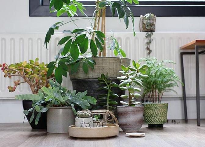 灰尘最好的打扫方法,家居灰尘怎么擦