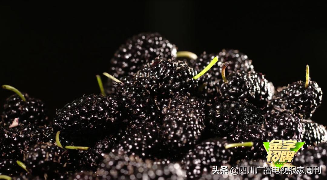 金字招牌|走，到德昌吃桑per！把嘴巴吃来亲妈都认不到的乌