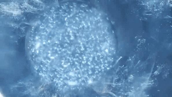 兰蔻小黑瓶到底好不好,兰蔻小黑瓶解析