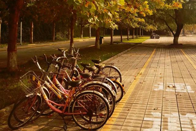 临汾，现在的山西师范大学，说说相关的两个问题