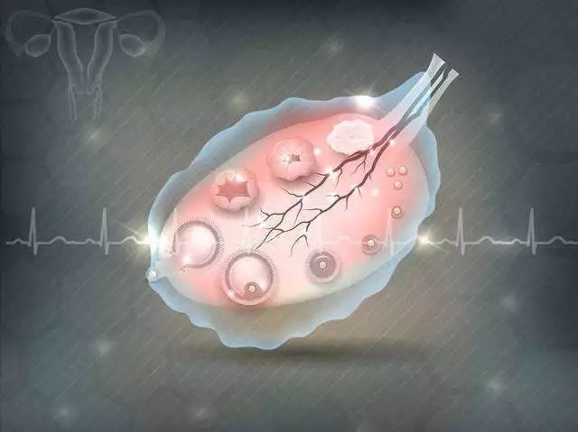 “宝贝，妈妈历经艰辛只为遇见你！”揭秘试管婴儿培育全过程