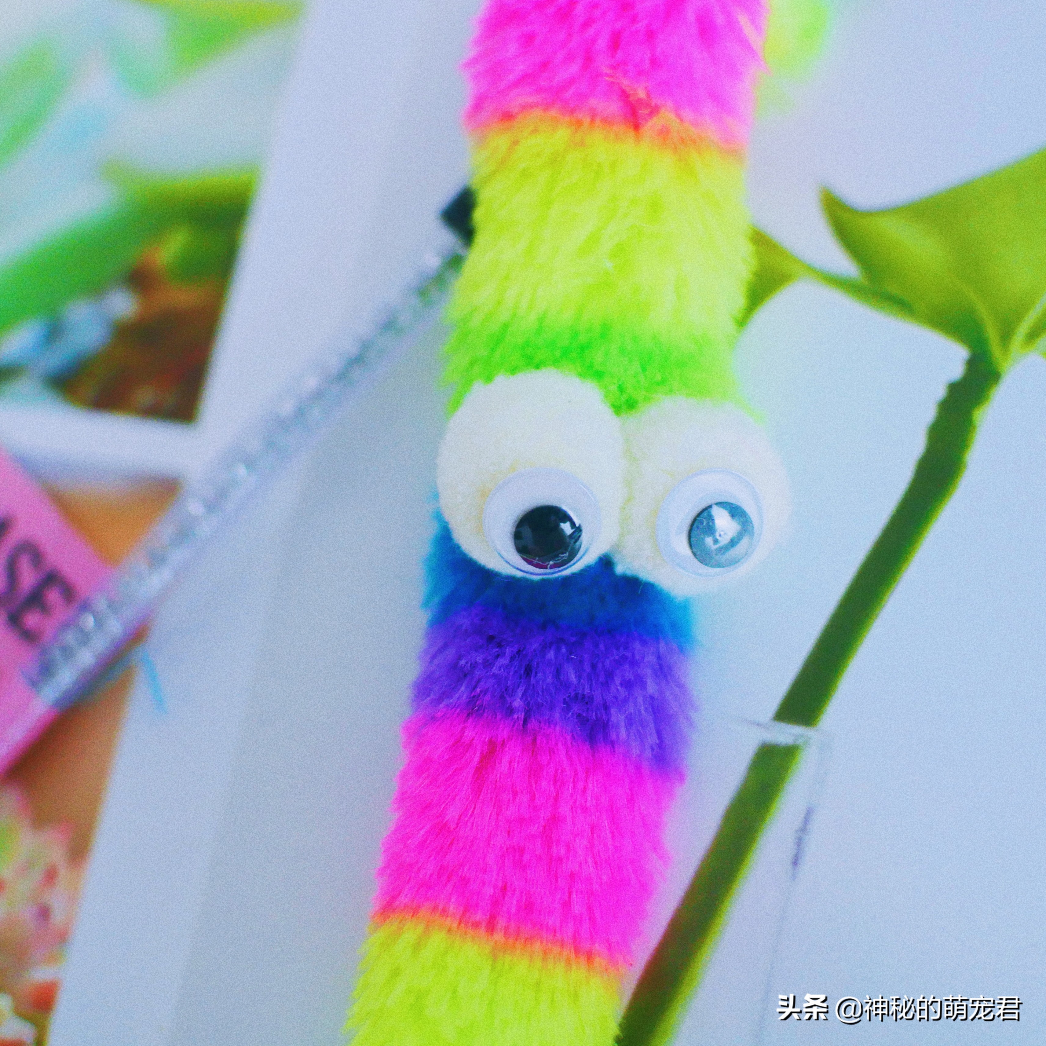 什么逗猫棒猫咪会玩,怎么做猫咪玩的逗猫棒