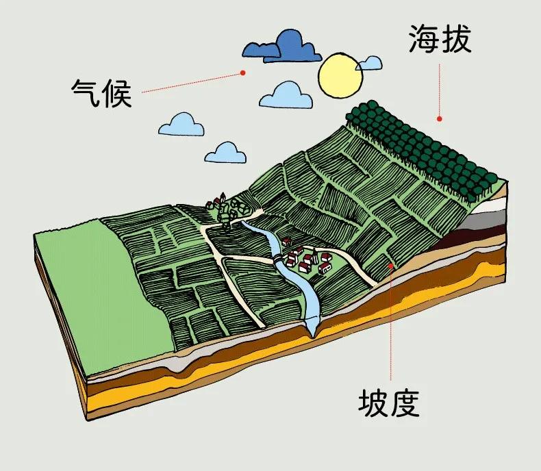 关于葡萄酒产区的书籍有哪些,中文版的葡萄酒书籍