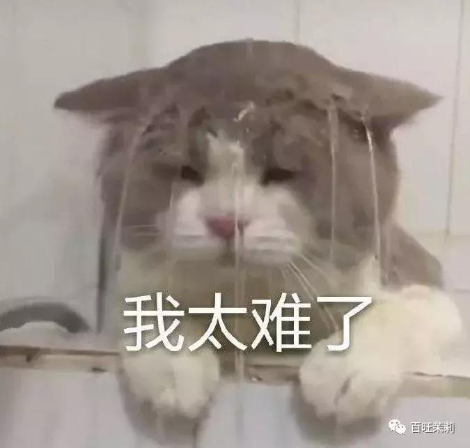 很想瘦但没瘦却只练出了马甲线,瘦到有马甲线还有胸吗