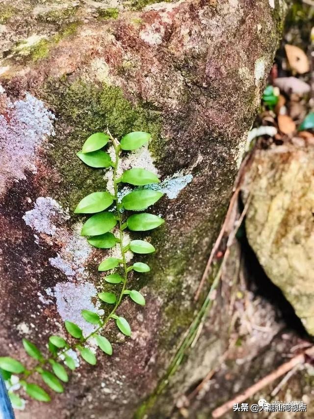 潮州景点幽谷逸林,潮州归湖畲族休闲谷