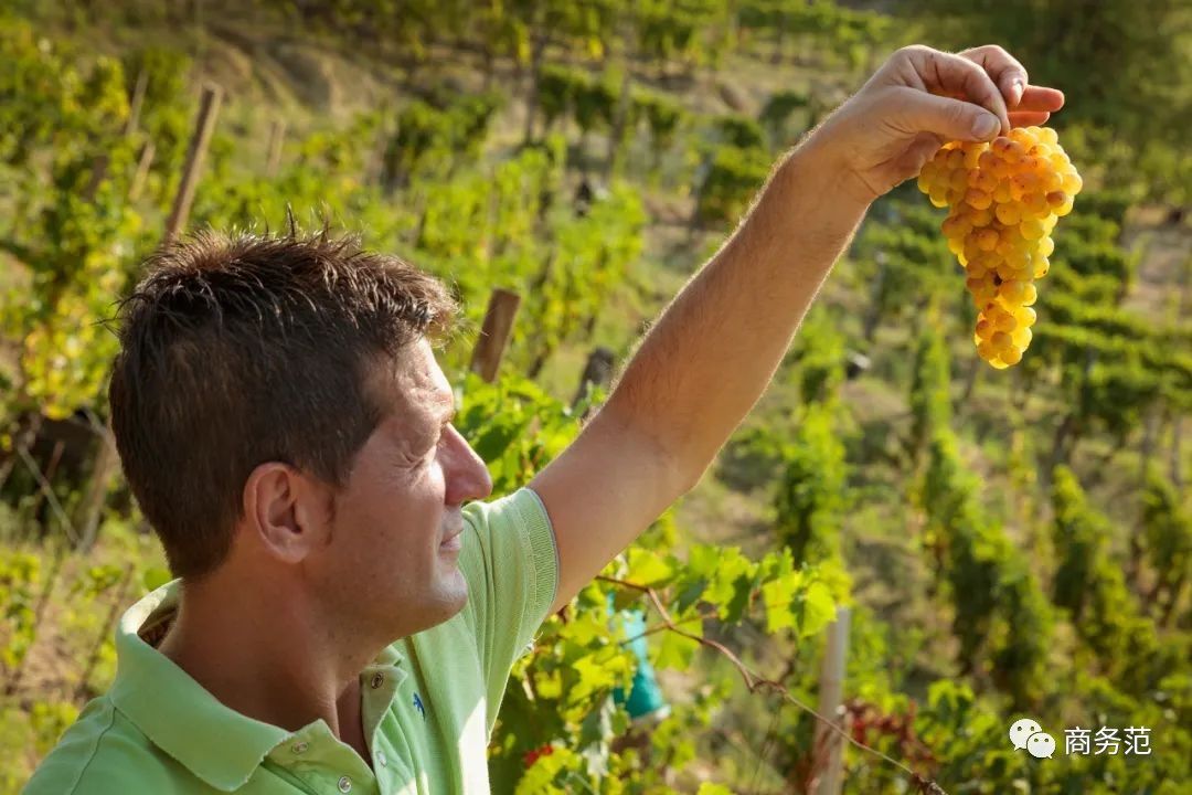 世界最好的起泡酒,列举三款世界最著名的起泡酒