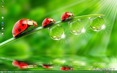 诗文杂咏：瓢虫“花大姐”的启示