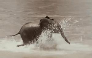 学生党最爱平价神仙彩妆,学生党平价水乳50元以下