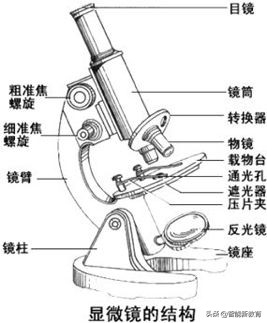 中考生物知识点汇总初中,初中生物中考必考知识点完整版