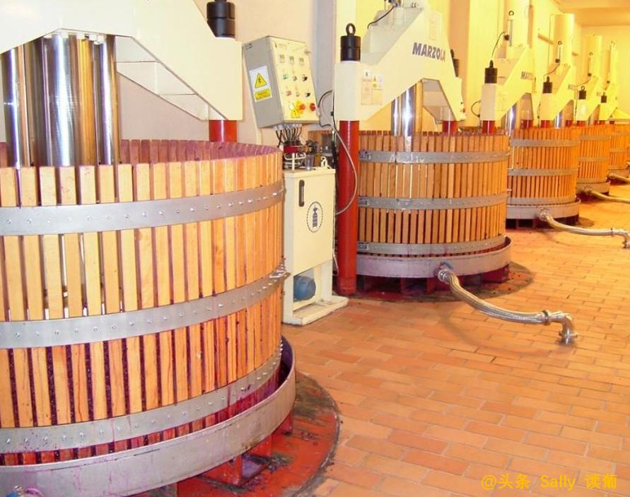 红酒在酒庄经历了什么?争议如此大?朱广权式幽默告诉你