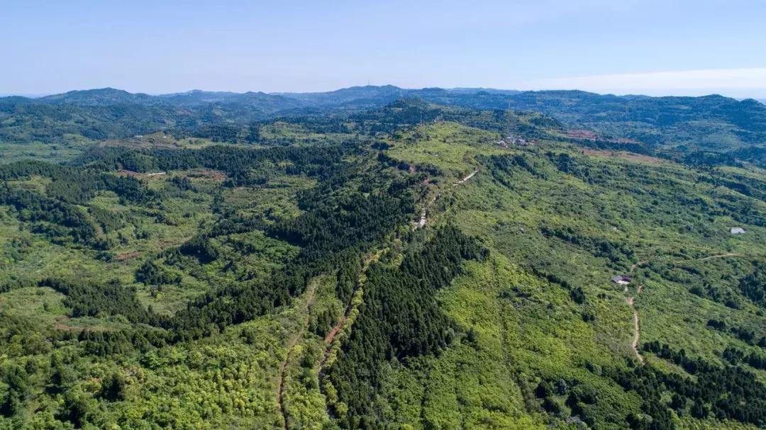 全球最大的城市森林公园,全球最绿色的城市