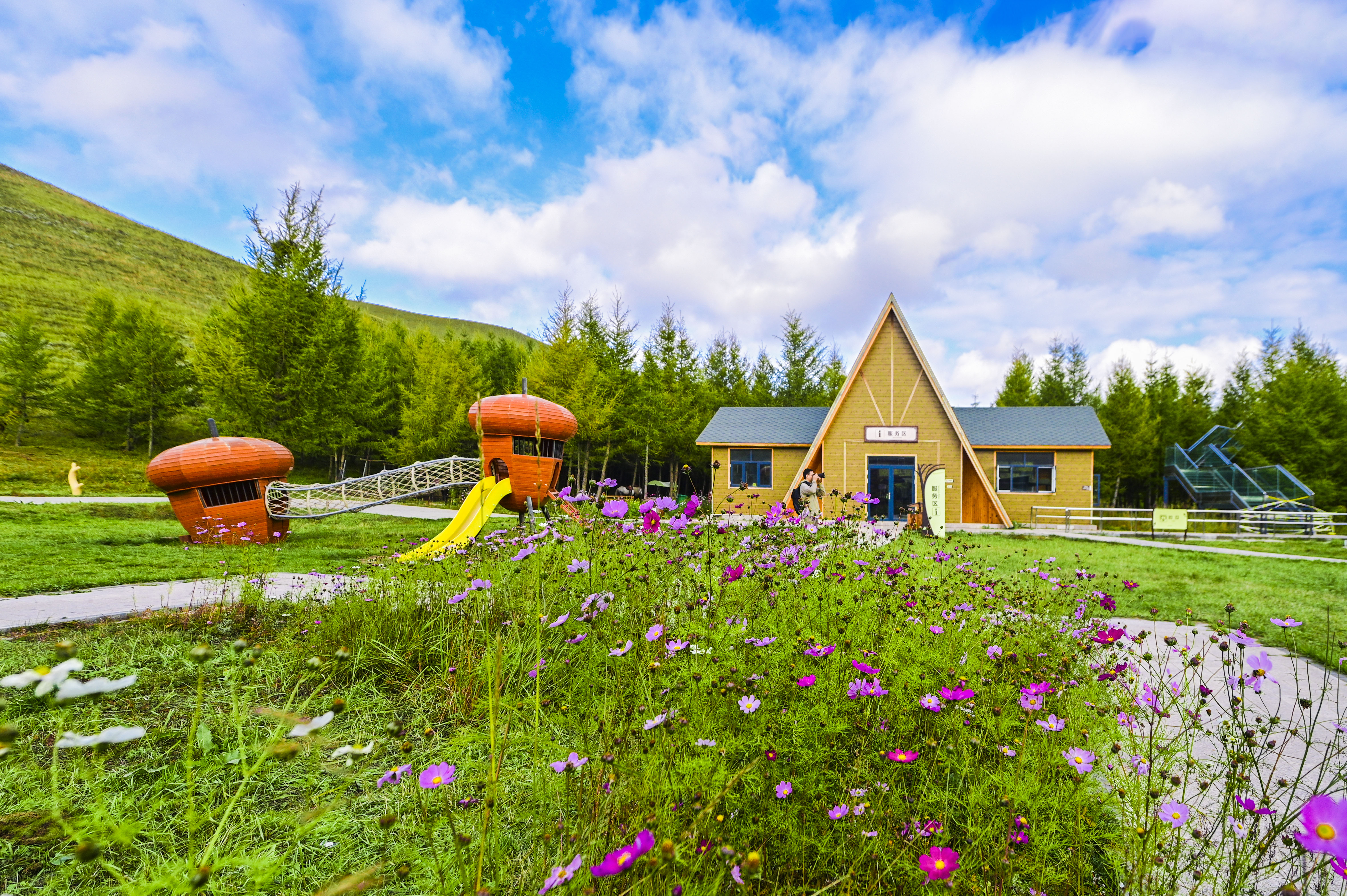 丰宁神仙谷七彩森林景区地图,丰宁坝上七彩森林游玩攻略