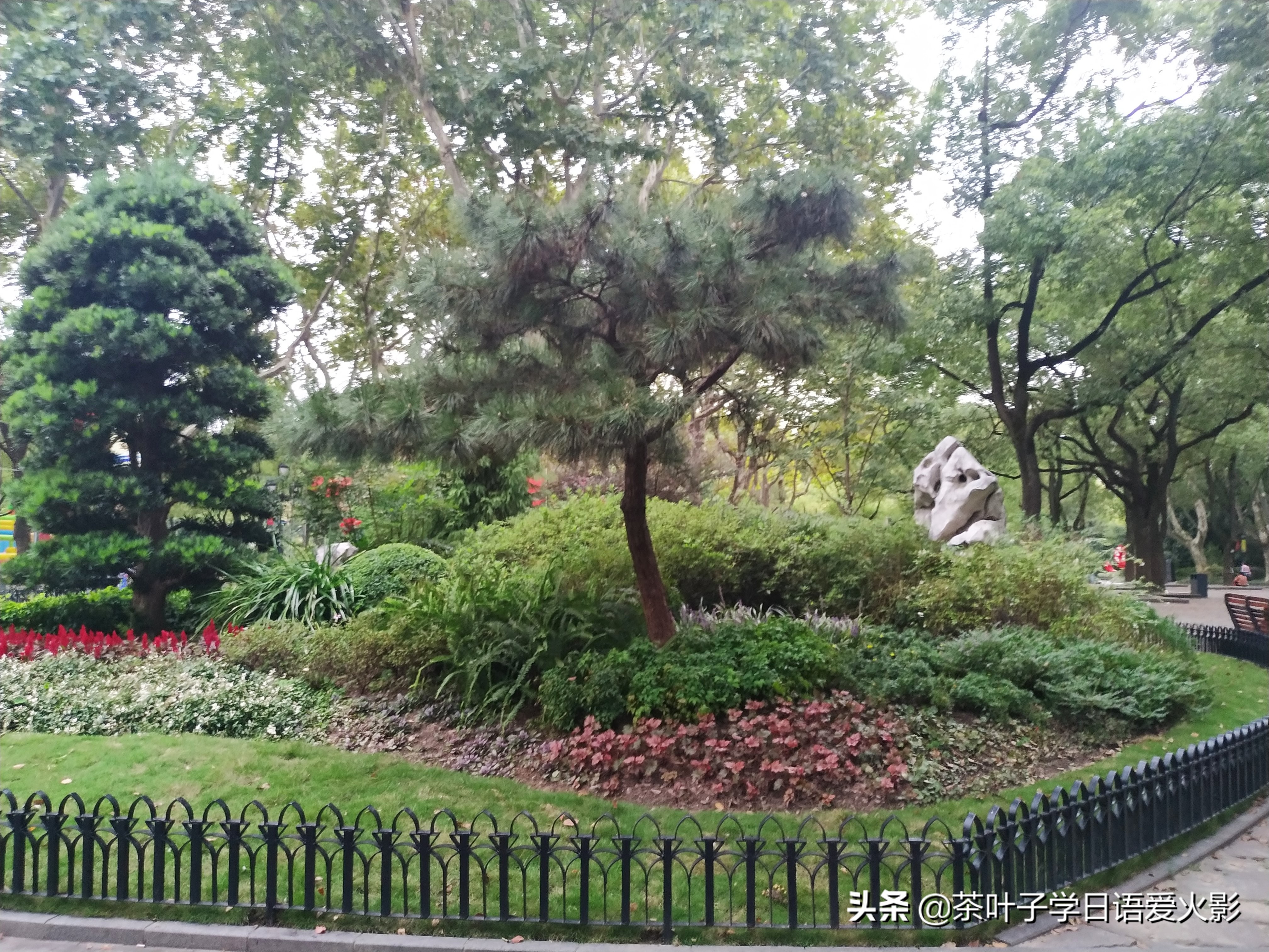 上海甜爱路，打卡不要错过哦，还有鲁迅公园