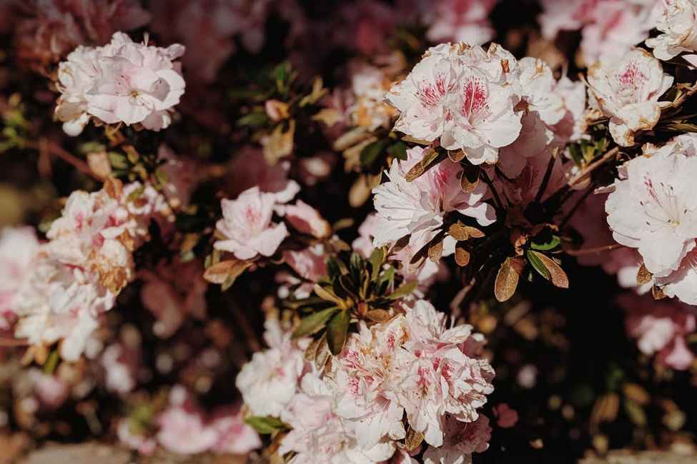 父母反对的婚姻该不该嫁,父母反对的婚姻有必要坚持下去吗