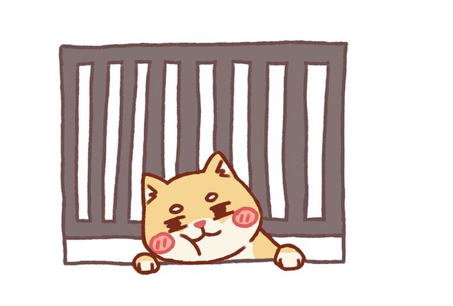 白柴犬多少钱一只幼崽,白色柴犬和奶白色柴犬哪个贵