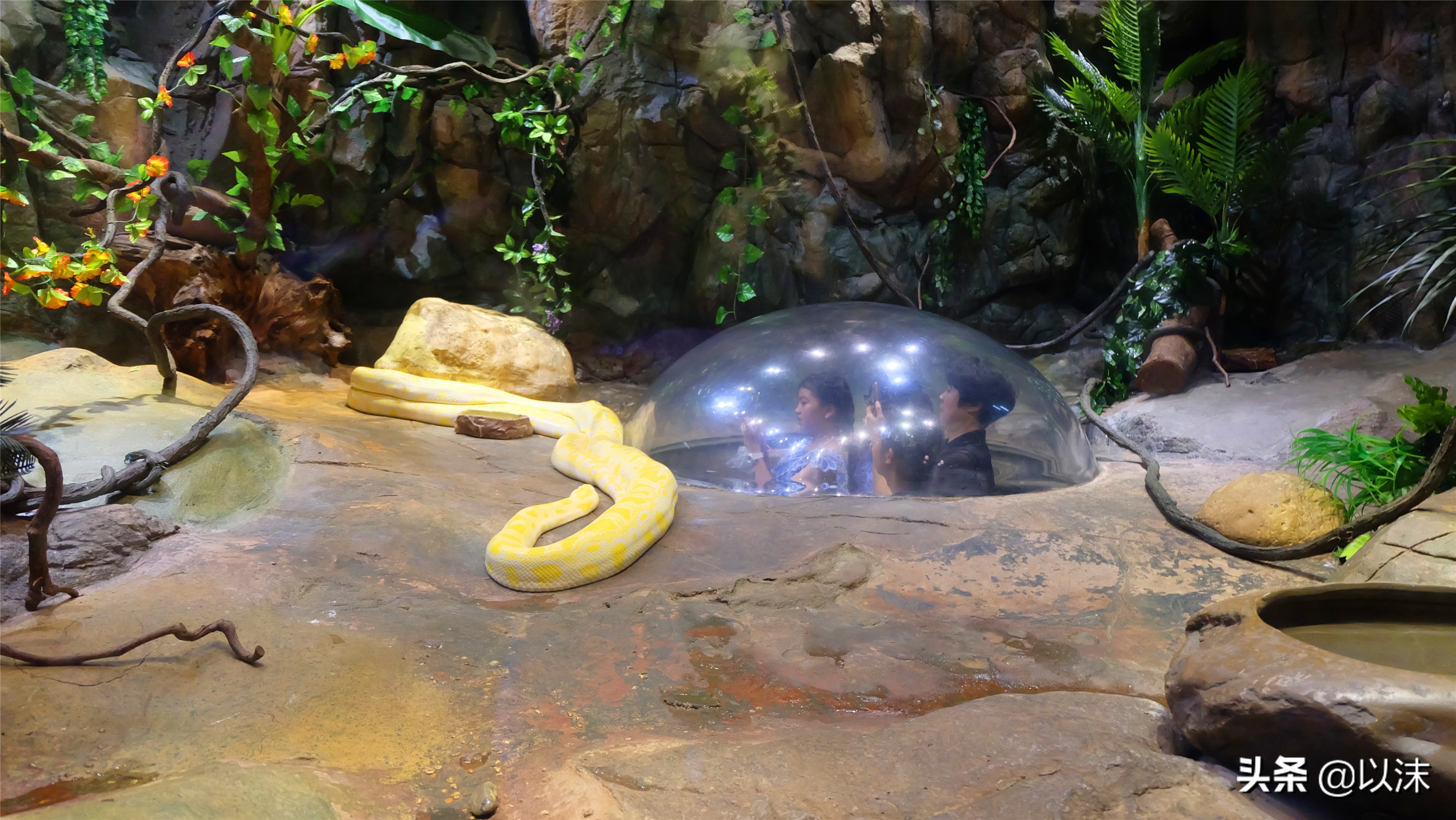 长隆野生动物世界游玩攻略,长隆野生动物世界带娃攻略