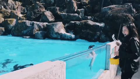 九州农家,九州山青水秀视频