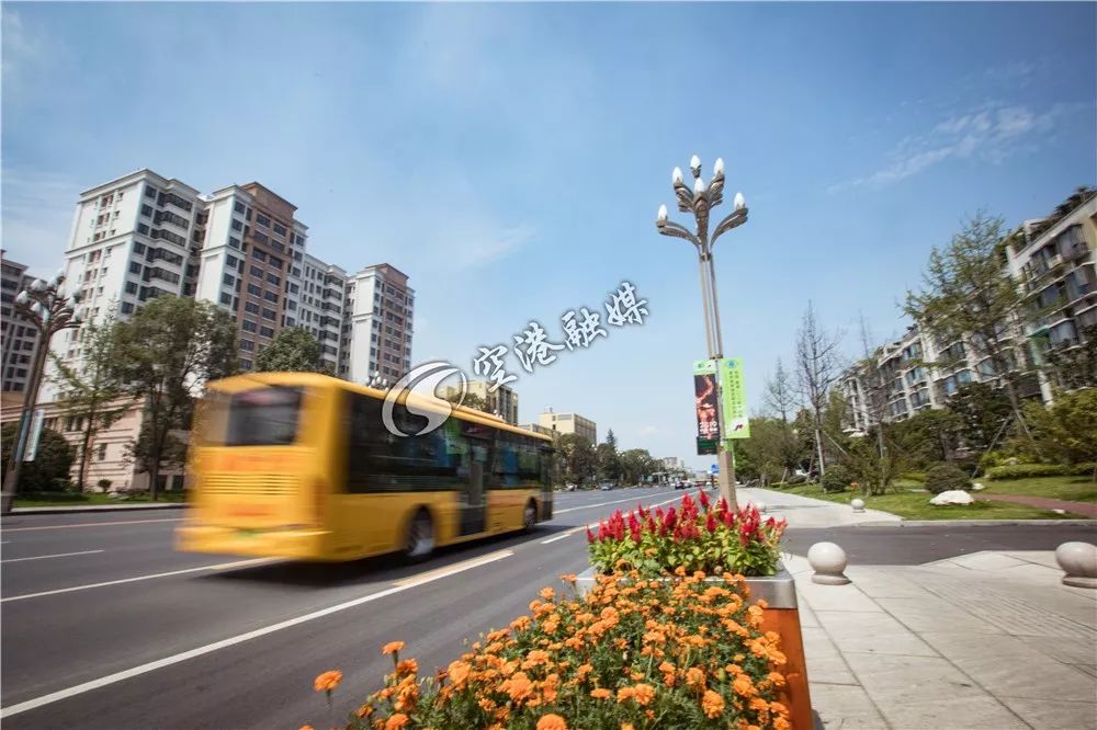 美了美了!涉及双流四个街区,34条街道!在你家附近吗?