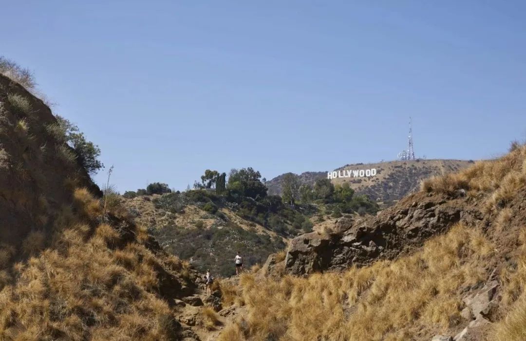 仰拍拍照技巧,仰拍拍照教程